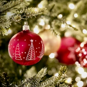 Red Christmas ornament on tree