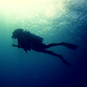 diver swimming in the sea